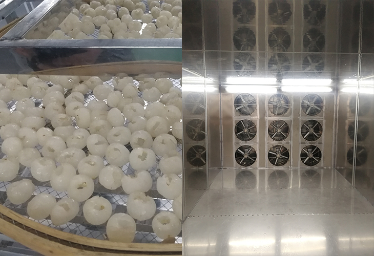 龙眼烘干机 龙眼烘干机