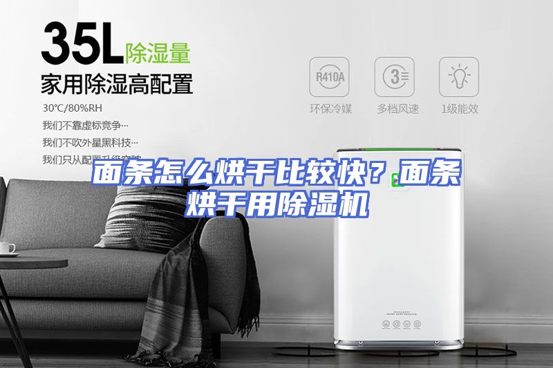 面条怎么烘干比较快？面条烘干用除湿机