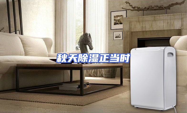 秋天除湿正当时