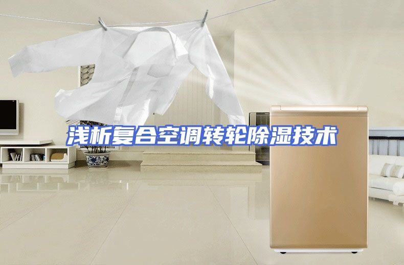 浅析复合空调转轮除湿技术