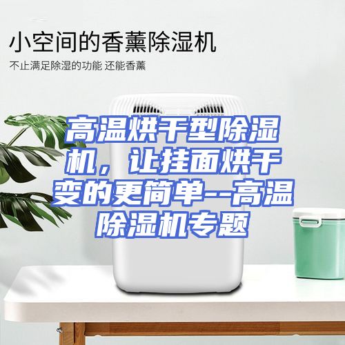 高温烘干型除湿机，让挂面烘干变的更简单--高温除湿机专题