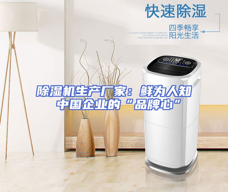 除湿机生产厂家：鲜为人知 中国企业的“品牌心”
