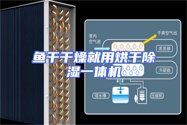 鱼干干燥就用烘干除湿一体机