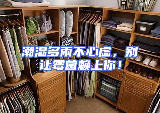 潮湿多雨不心虚，别让霉菌赖上你！