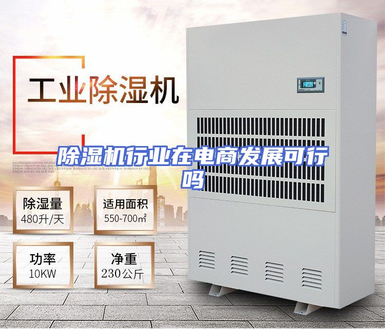 除湿机行业在电商发展可行吗