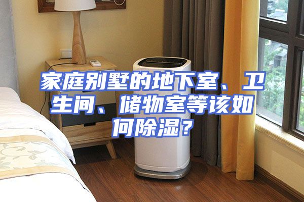 家庭别墅的地下室、卫生间、储物室等该如何除湿？