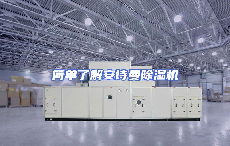 简单了解安诗曼除湿机