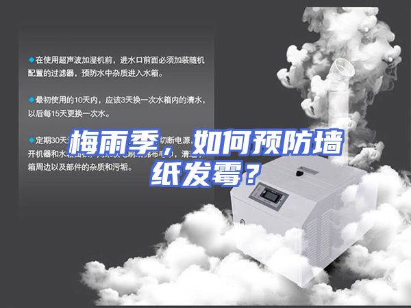 梅雨季,如何预防墙纸发霉?