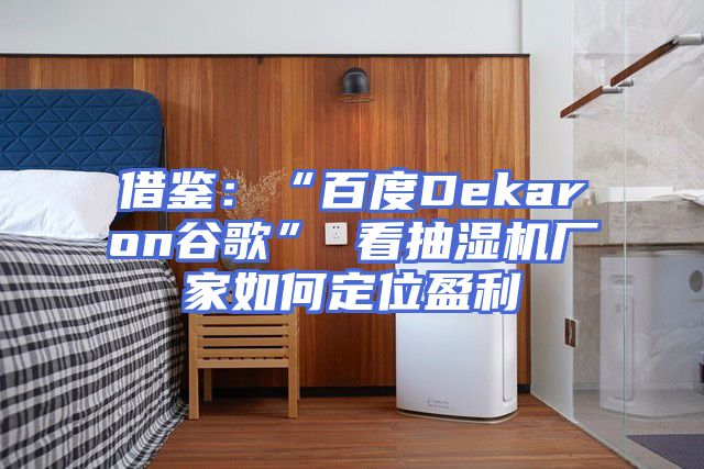 借鉴:“百度Dekaron谷歌” 看抽湿机厂家如何定位盈利
