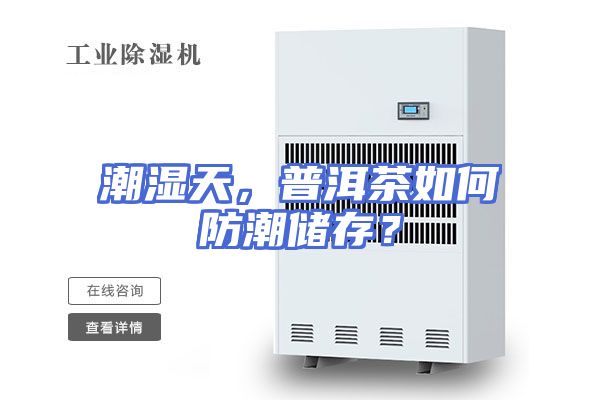 潮湿天，普洱茶如何防潮储存？