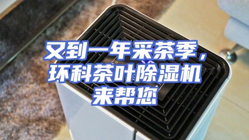 又到一年采茶季,环科茶叶除湿机来帮您