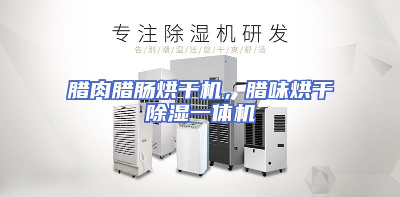 腊肉腊肠烘干机，腊味烘干除湿一体机
