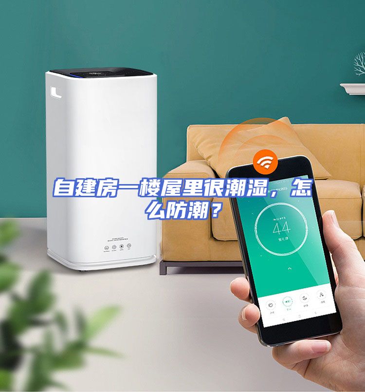 自建房一楼屋里很潮湿，怎么防潮？