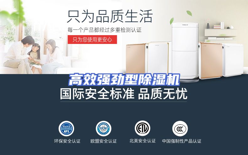 高效强劲型除湿机