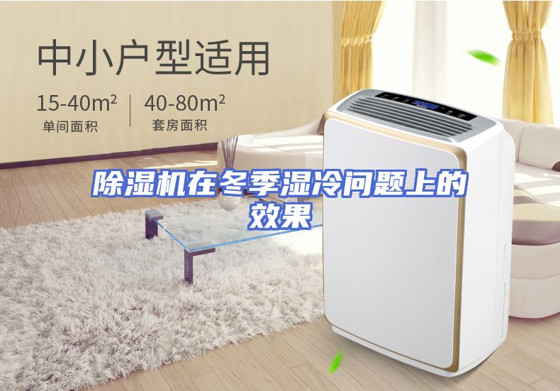 除湿机在冬季湿冷问题上的效果