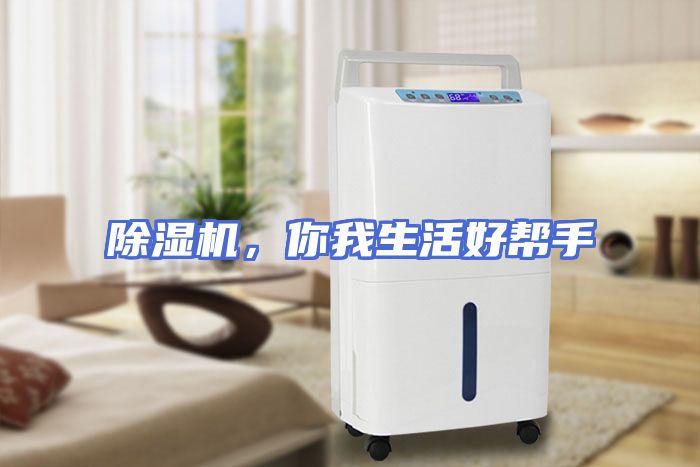 除湿机，你我生活好帮手