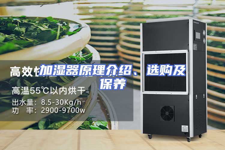 加湿器原理介绍、选购及保养