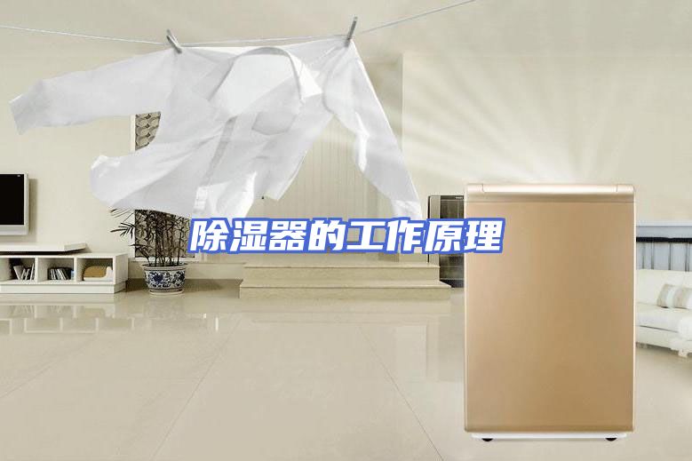 除湿器的工作原理
