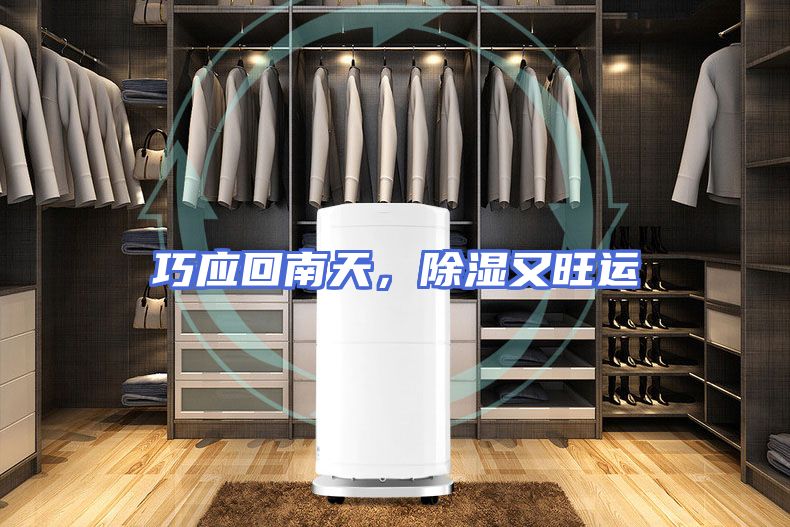 巧应回南天，除湿又旺运