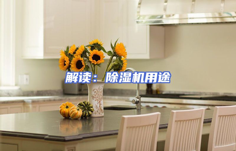 解读：除湿机用途