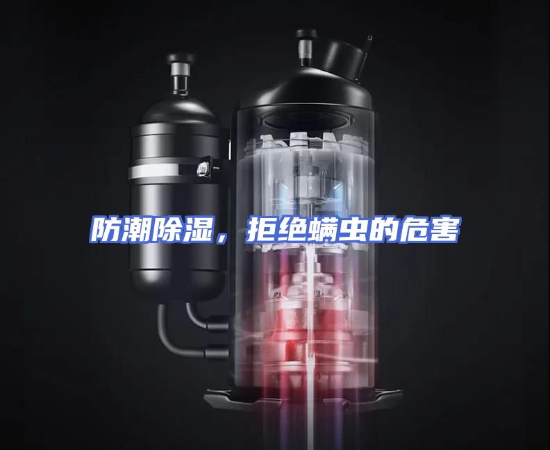 防潮除湿,拒绝螨虫的危害