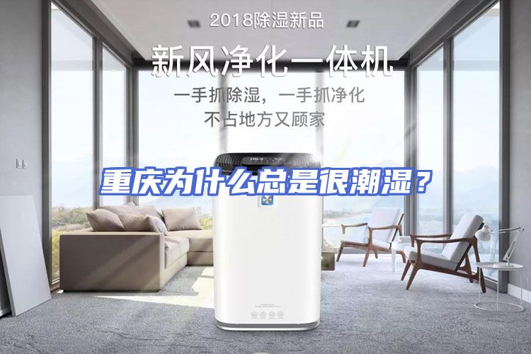 重庆为什么总是很潮湿？