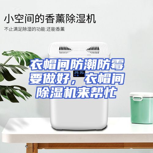 衣帽间防潮防霉要做好,衣帽间除湿机来帮忙