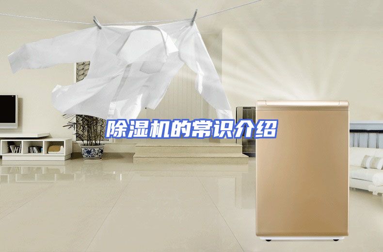 除湿机的常识介绍