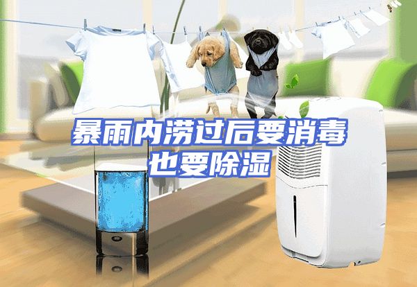 暴雨内涝过后要消毒也要除湿