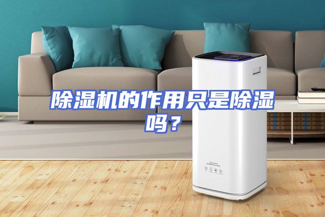 除湿机的作用只是除湿吗?