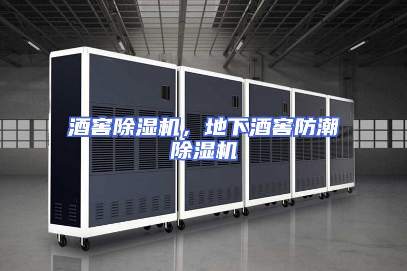 酒窖除湿机，地下酒窖防潮除湿机