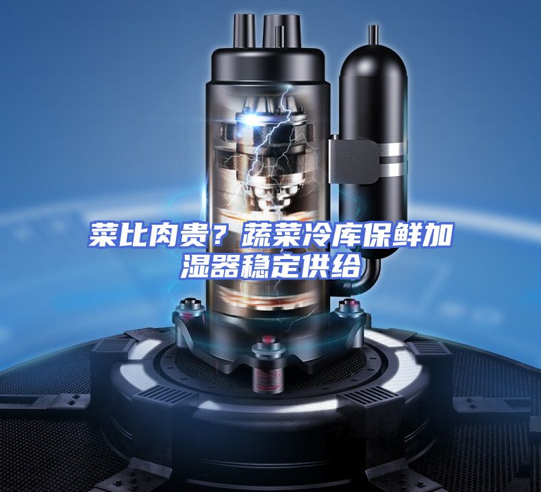 菜比肉贵?蔬菜冷库保鲜加湿器稳定供给