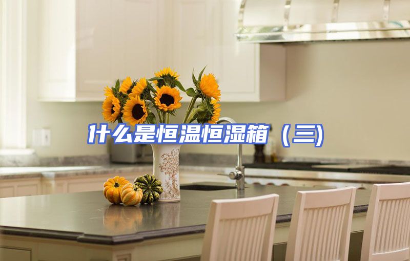 什么是恒温恒湿箱(三)