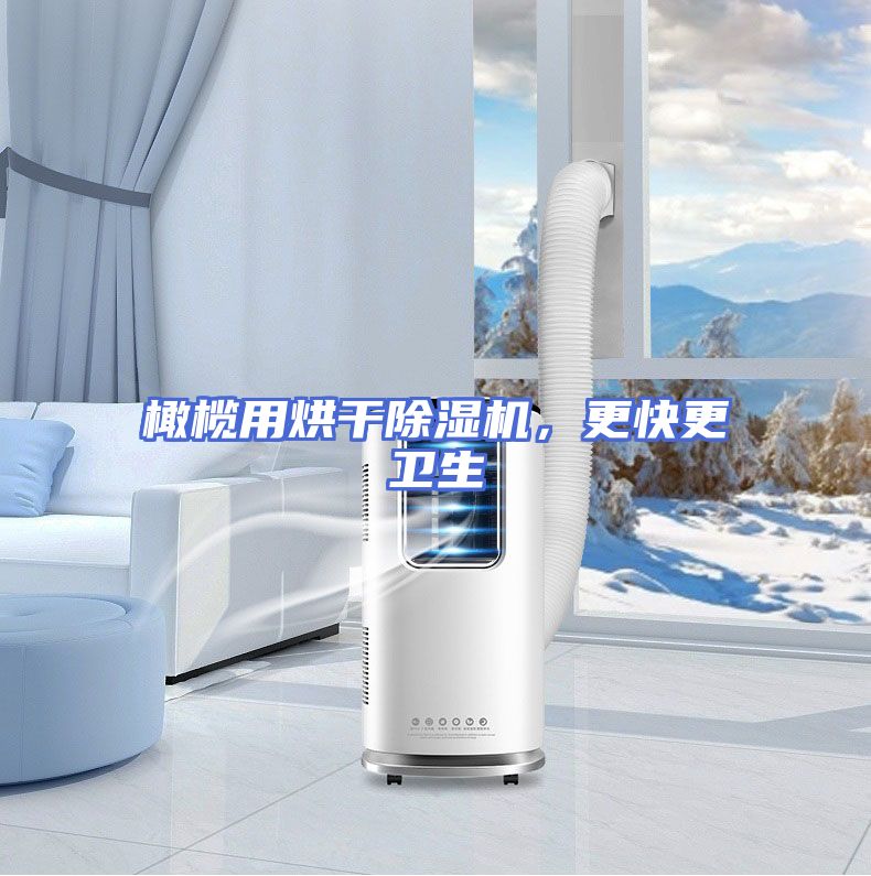 橄榄用烘干除湿机，更快更卫生