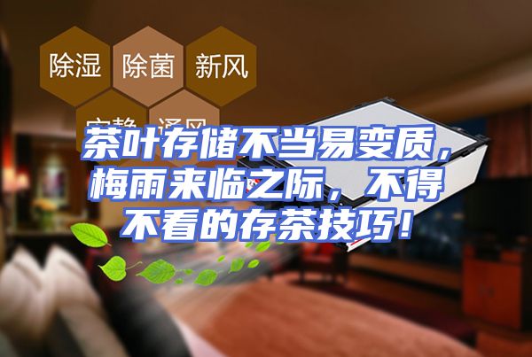 茶叶存储不当易变质，梅雨来临之际，不得不看的存茶技巧！