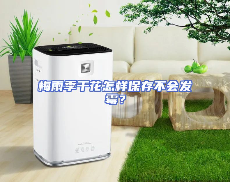 梅雨季干花怎样保存不会发霉？