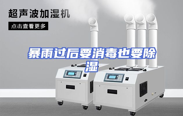 暴雨过后要消毒也要除湿