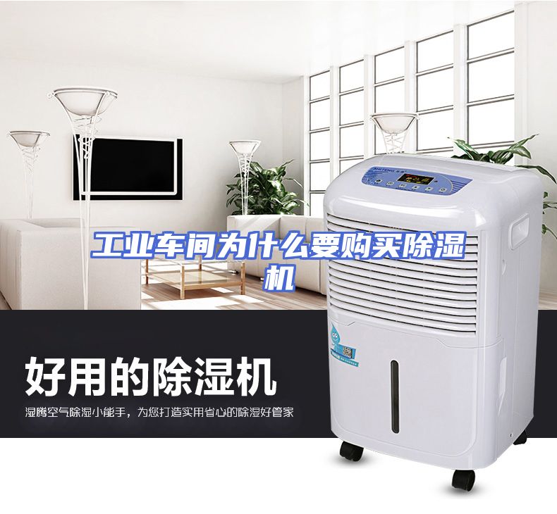 工业车间为什么要购买除湿机