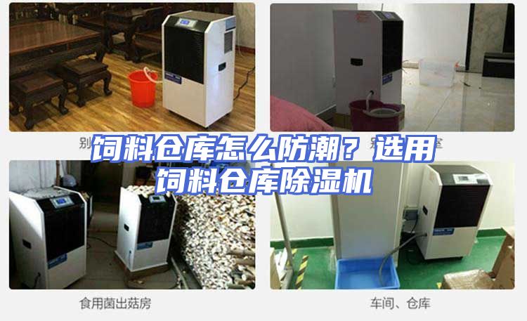 饲料仓库怎么防潮?选用饲料仓库除湿机