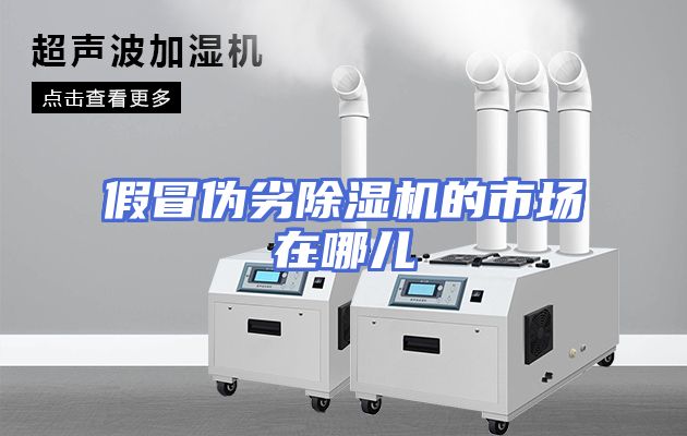 假冒伪劣除湿机的市场在哪儿