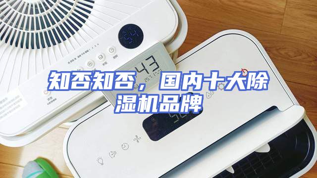 知否知否，国内十大除湿机品牌