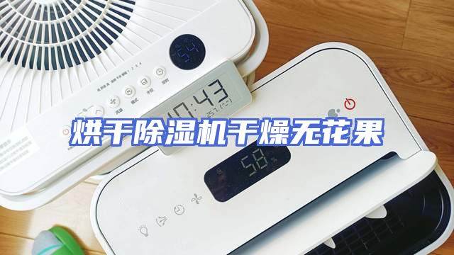 烘干除湿机干燥无花果