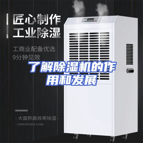 了解除湿机的作用和发展