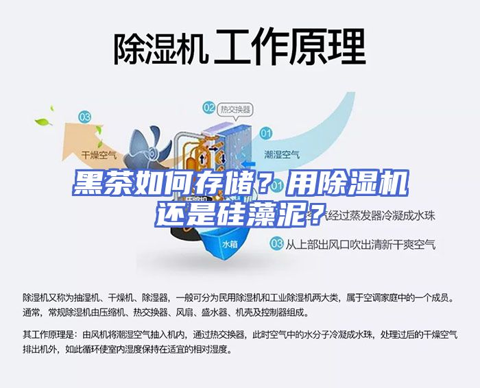黑茶如何存储？用除湿机还是硅藻泥？