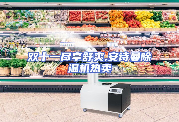 双十一尽享舒爽,安诗曼除湿机热卖
