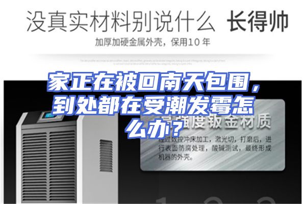 家正在被回南天包围，到处都在受潮发霉怎么办？