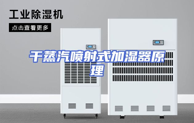 干蒸汽喷射式加湿器原理
