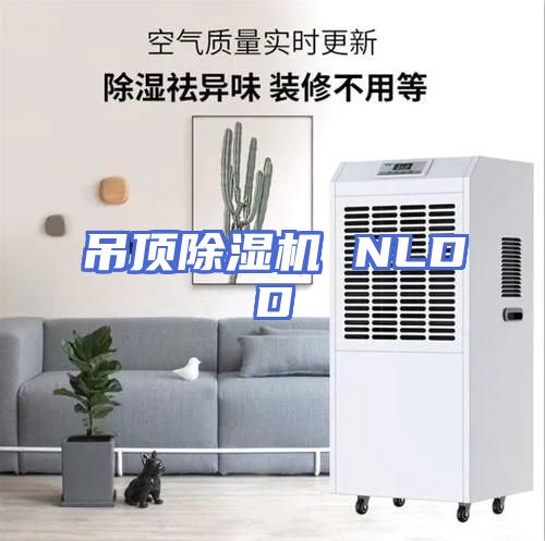 吊顶除湿机 NLDD