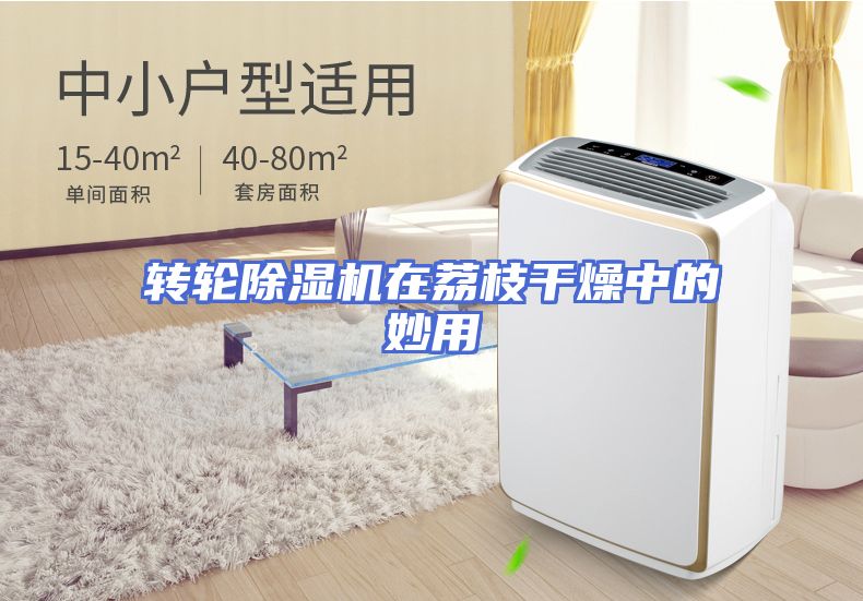 转轮除湿机在荔枝干燥中的妙用