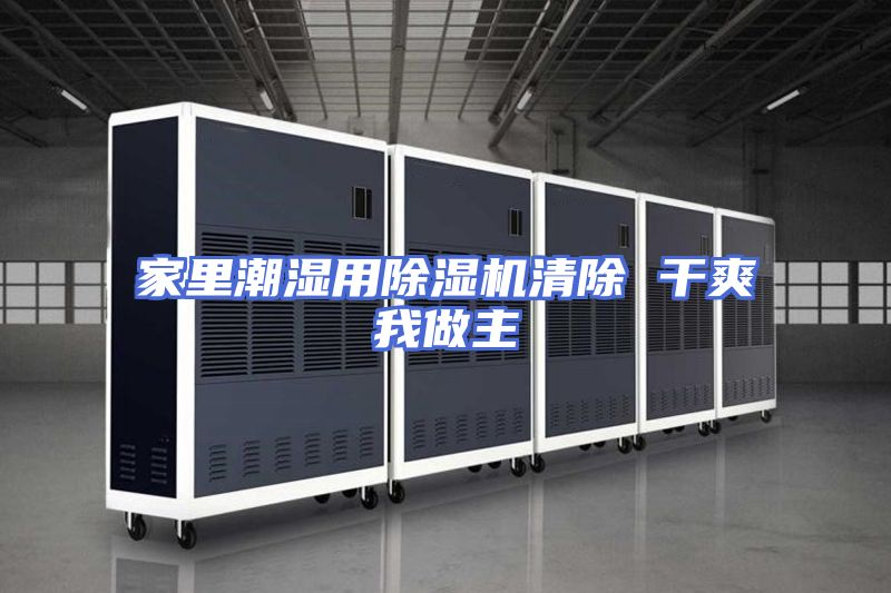 家里潮湿用除湿机清除 干爽我做主